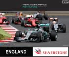 Nico Rosberg, Mercedes, 2015 Britanya Grand Prix, ikinci sırada